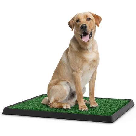 Artificial Grass Bathroom Mat for Puppies and Small Pets- Portable Potty Trainer for Indoor and Outdoor Use/indoor dog toilet